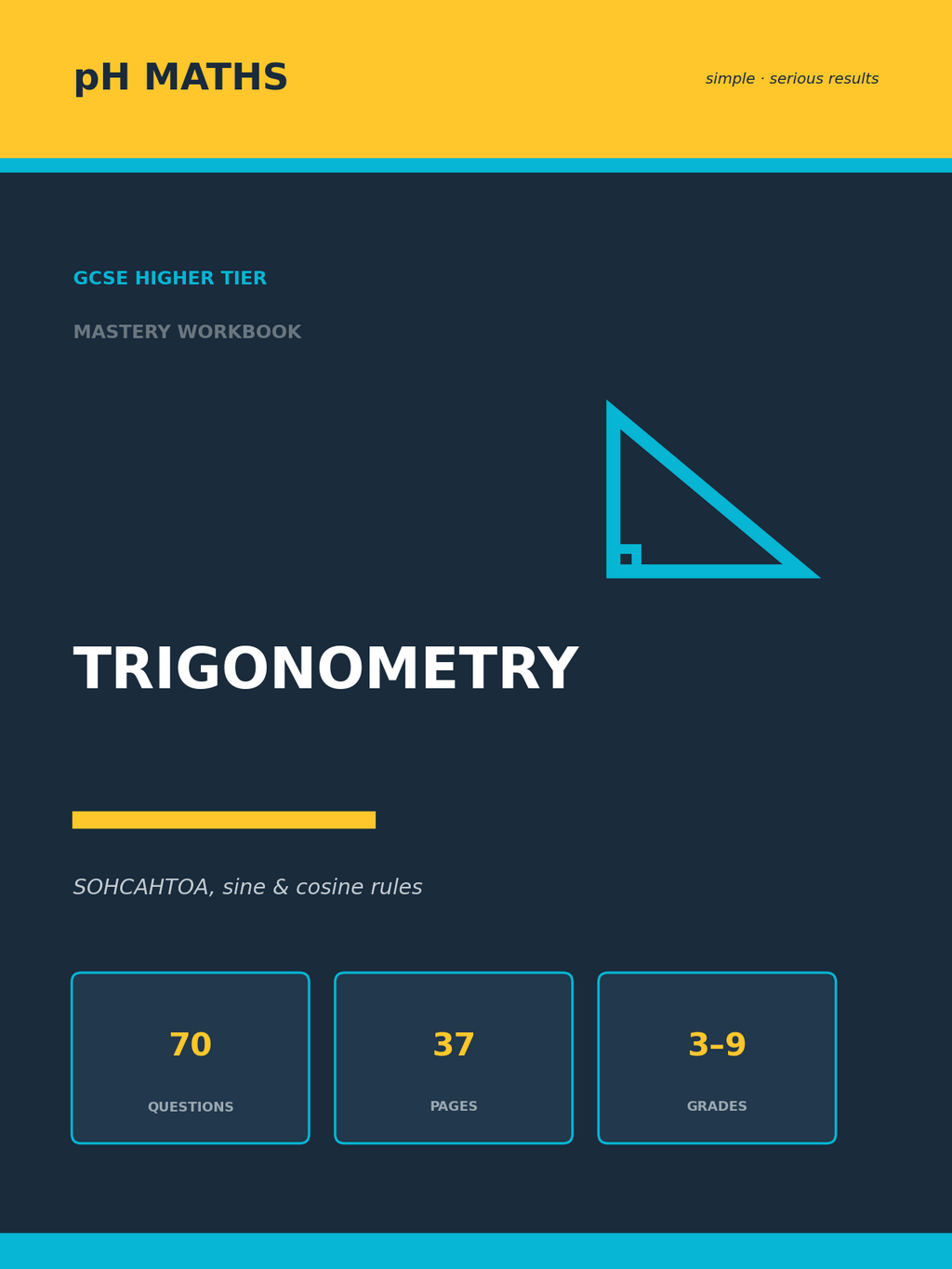 pH Maths · Trigonometry Mastery Workbook