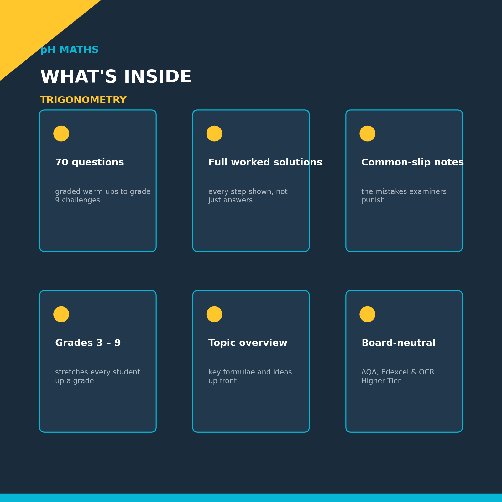 pH Maths · Trigonometry Mastery Workbook