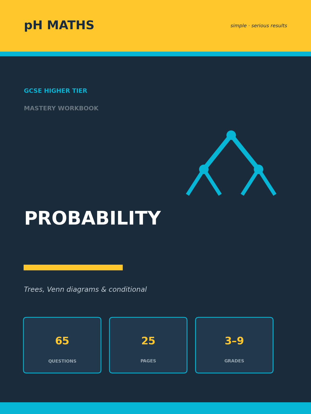 pH Maths · Probability Mastery Workbook