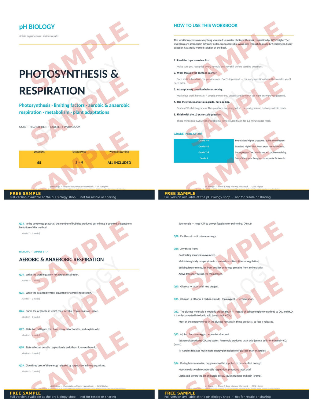 pH Biology · Photosynthesis & Respiration Mastery Workbook