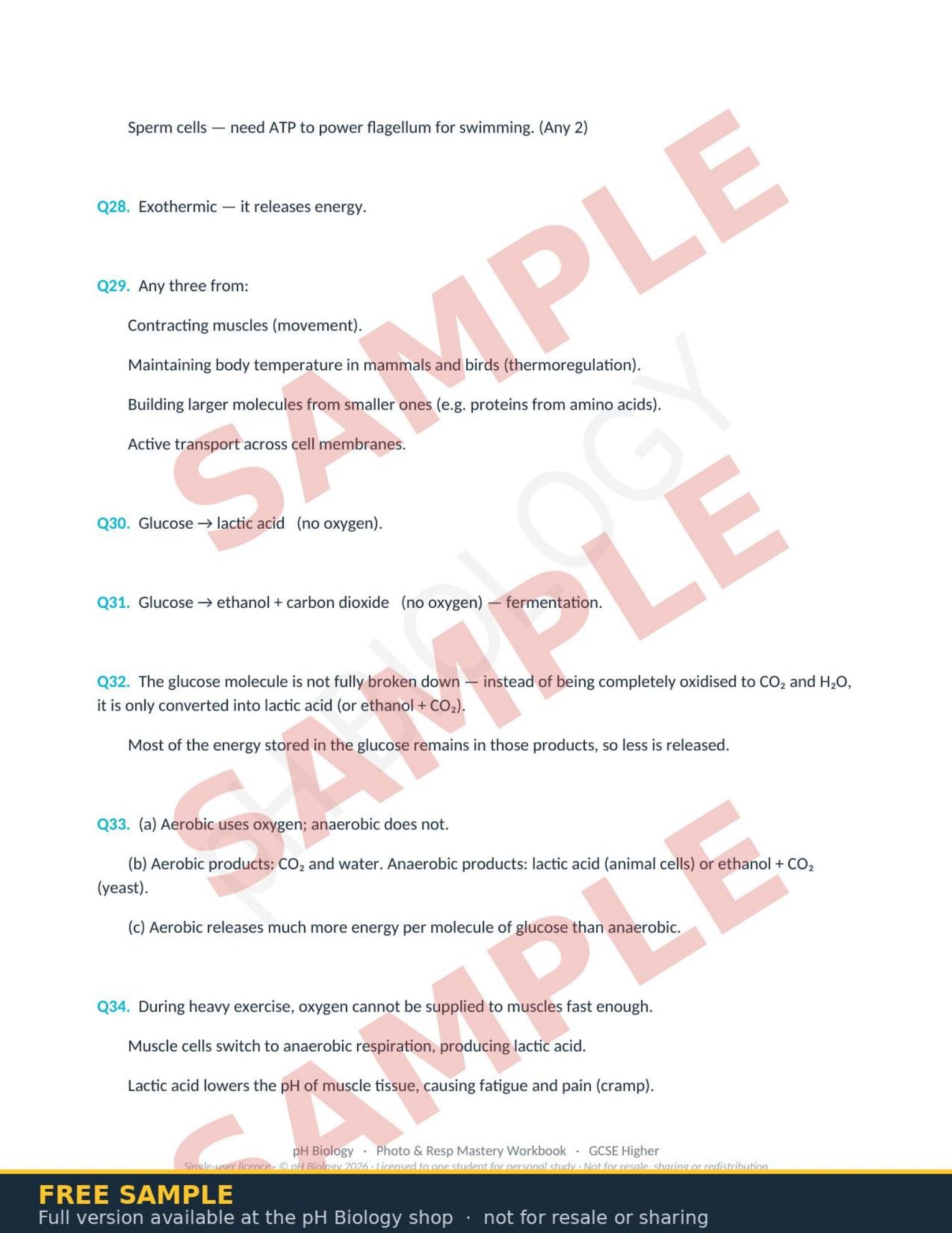 pH Biology · Photosynthesis & Respiration Mastery Workbook