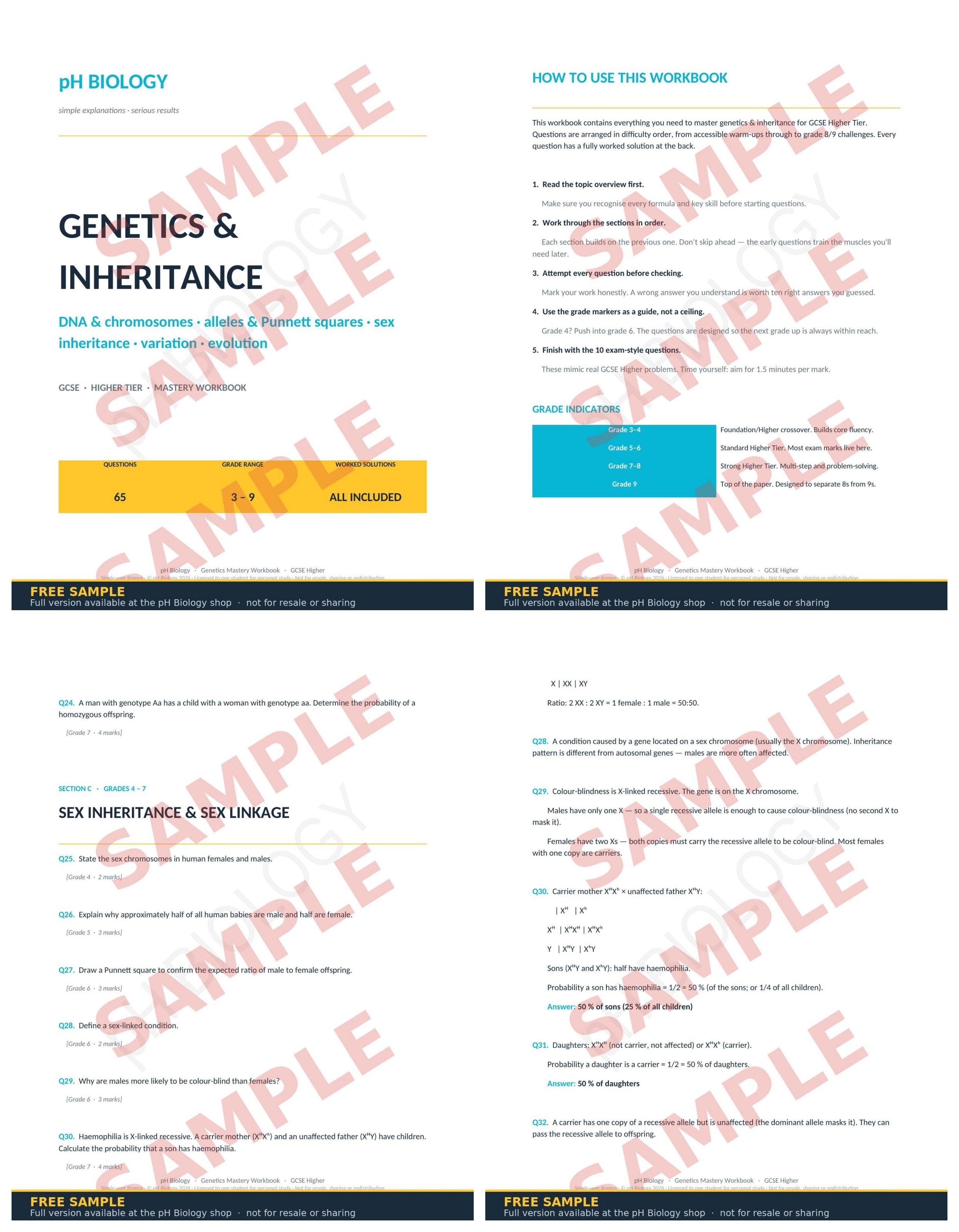 pH Biology · Genetics & Inheritance Mastery Workbook