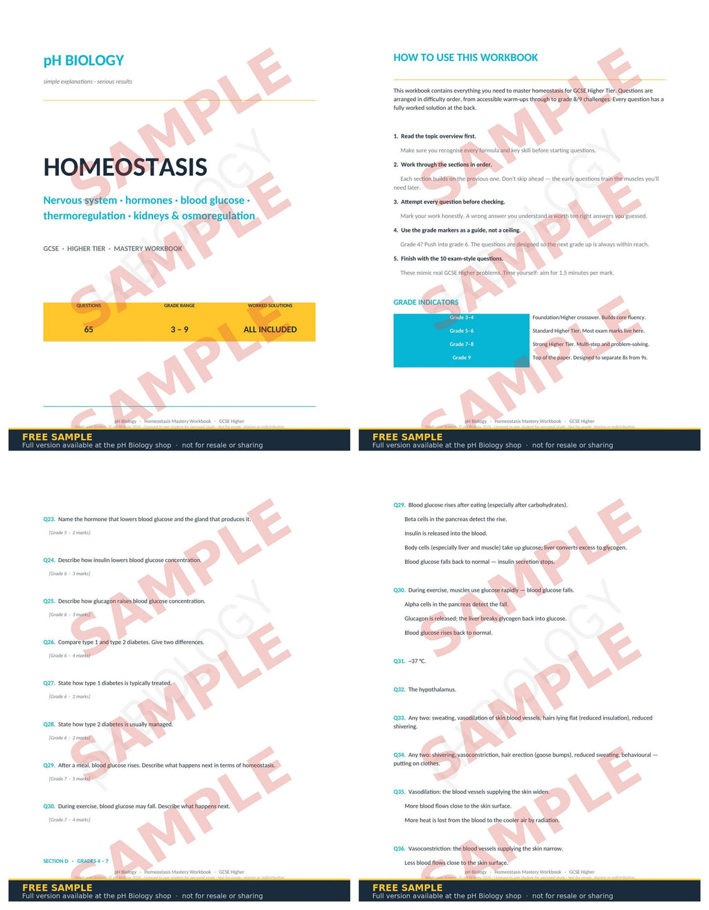 pH Biology · Homeostasis Mastery Workbook