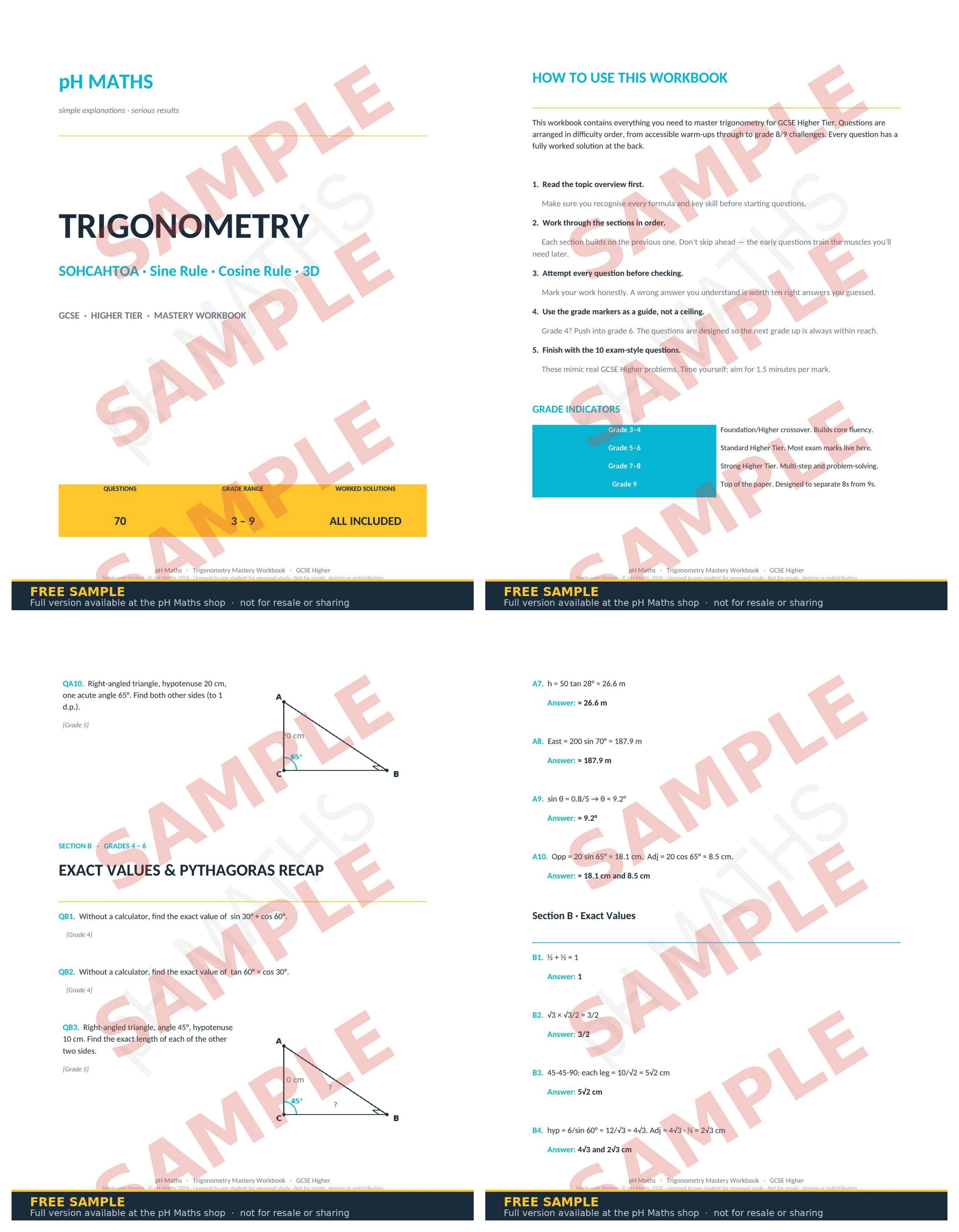pH Maths · Trigonometry Mastery Workbook