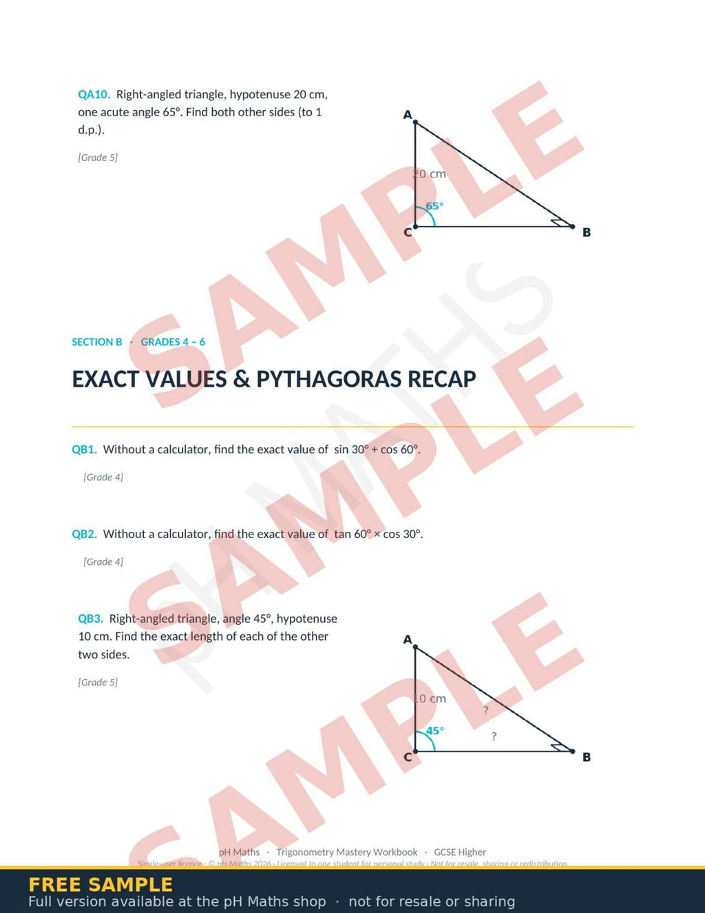 pH Maths · Trigonometry Mastery Workbook