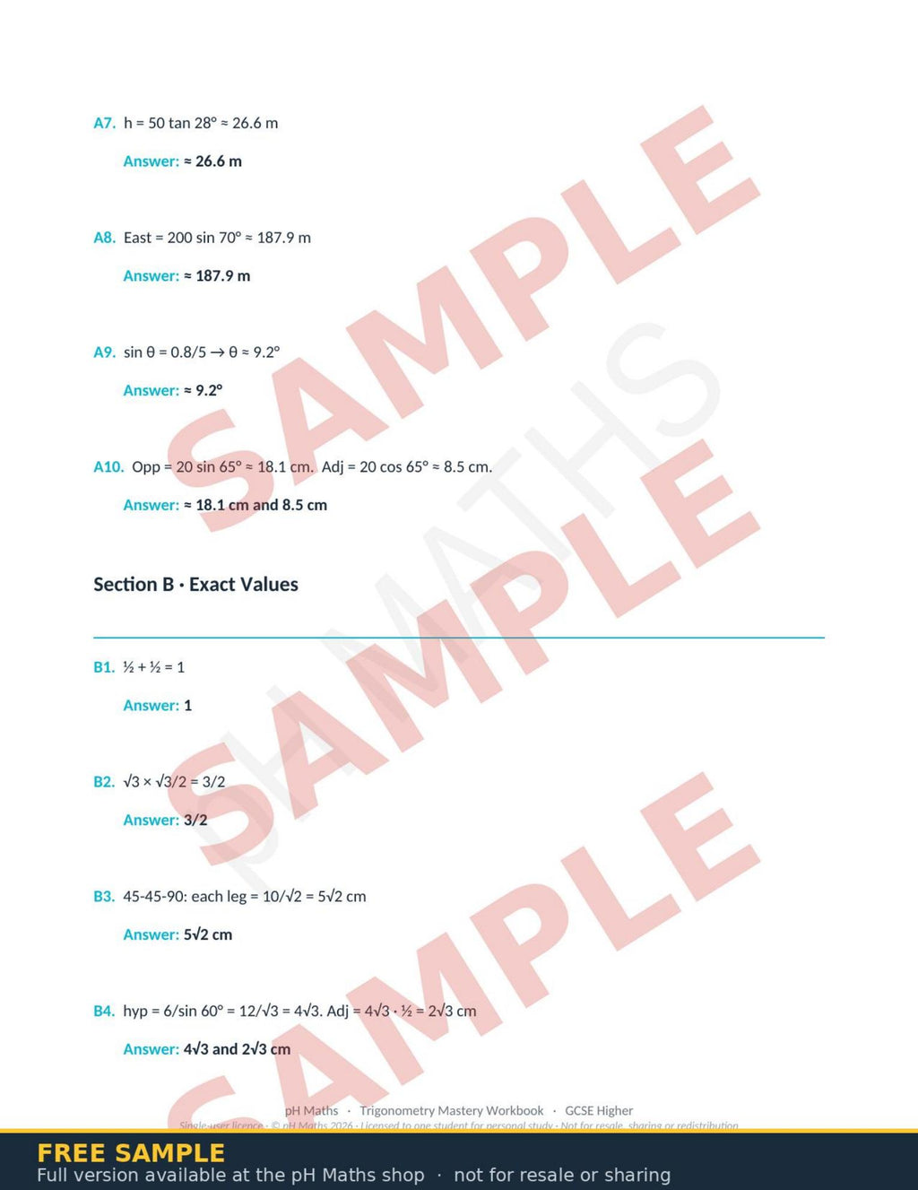 pH Maths · Trigonometry Mastery Workbook