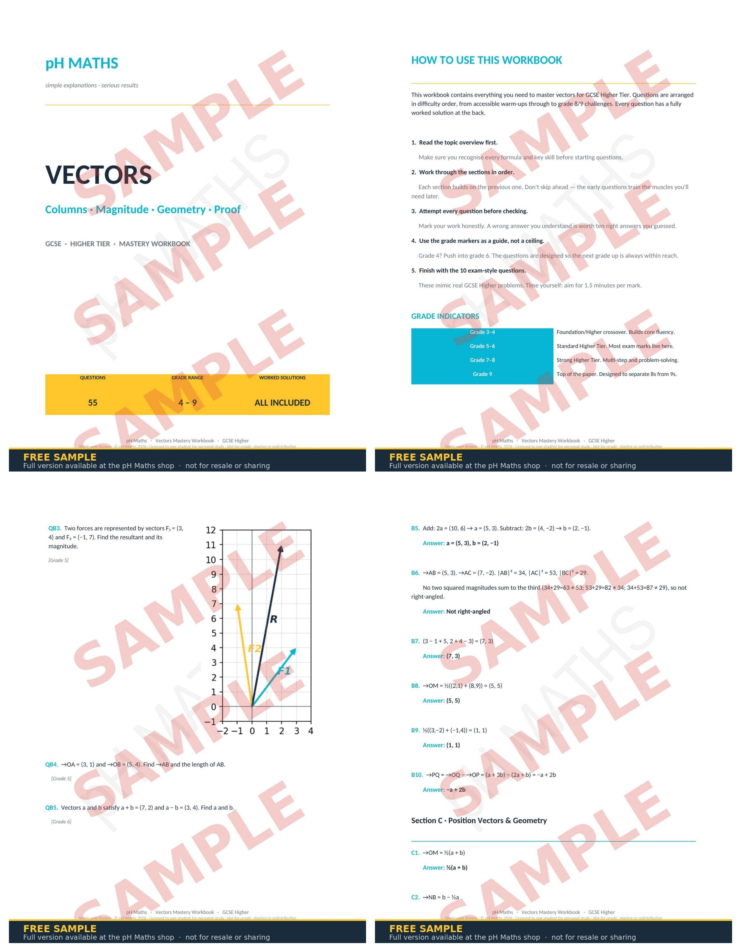 pH Maths · Vectors Mastery Workbook
